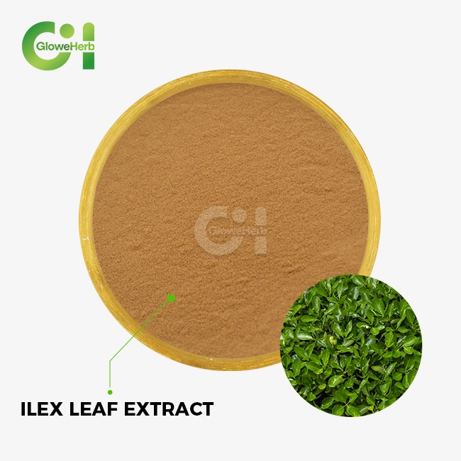 Ilex leaf extract
